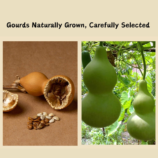 Natural Gourd Plum Blossom Pendant Walnut Wood Base Car Dashboard Ornament Handmade Carving Premium Gift - i-Station Mobile Phone & Electronic Device Repair and Accessories