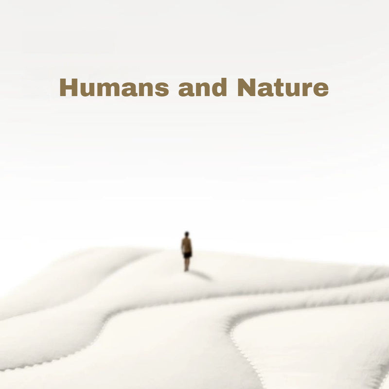 Load image into Gallery viewer, [2-in-1 Bundle] Tomtoc 360° Protective Padded Universal Sleeve – Compatible with 13″–14″ Tablets &amp; Laptops
