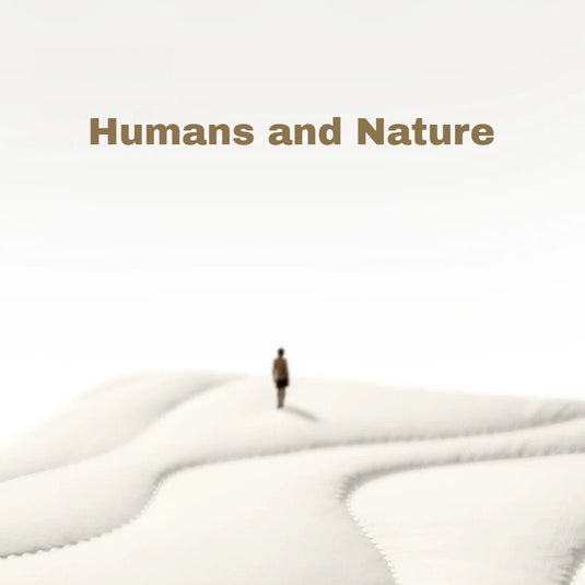 [2-in-1 Bundle] Tomtoc 360° Protective Padded Universal Sleeve – Compatible with 13″–14″ Tablets & Laptops