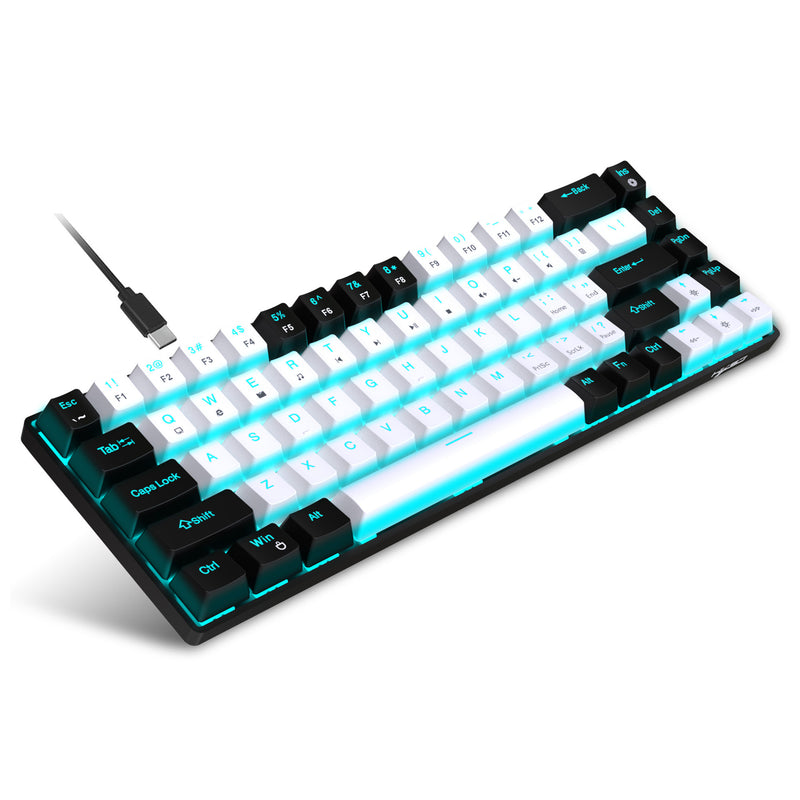 Load image into Gallery viewer, 65% Compact Portable 68-Key Mechanical Wired Gaming Keyboard With Blue Switches Hot-Swappable Switches And Ergonomic Design Ice Blue Backlight
