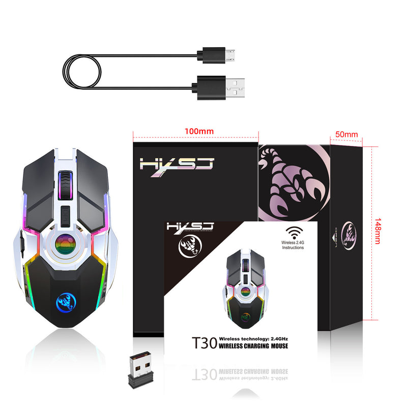 Load image into Gallery viewer, HYSJ Wireless RGB Lightweight Noise-Fre Gaming Mouse With USB Receiver And Decompress Crystal Ball
