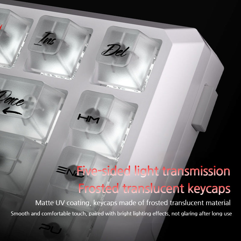 Load image into Gallery viewer, LANGTU T75 Tri-Mode Wireless Frosted Mechanical Gaming Keyboard &amp; Bluetooth/2.4GHz/USB-C
